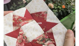 蘑菇爆料吃瓜视频在线观看,揭秘吃瓜视频背后的精彩瞬间